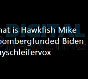 hawkfish biden mayschleifervox